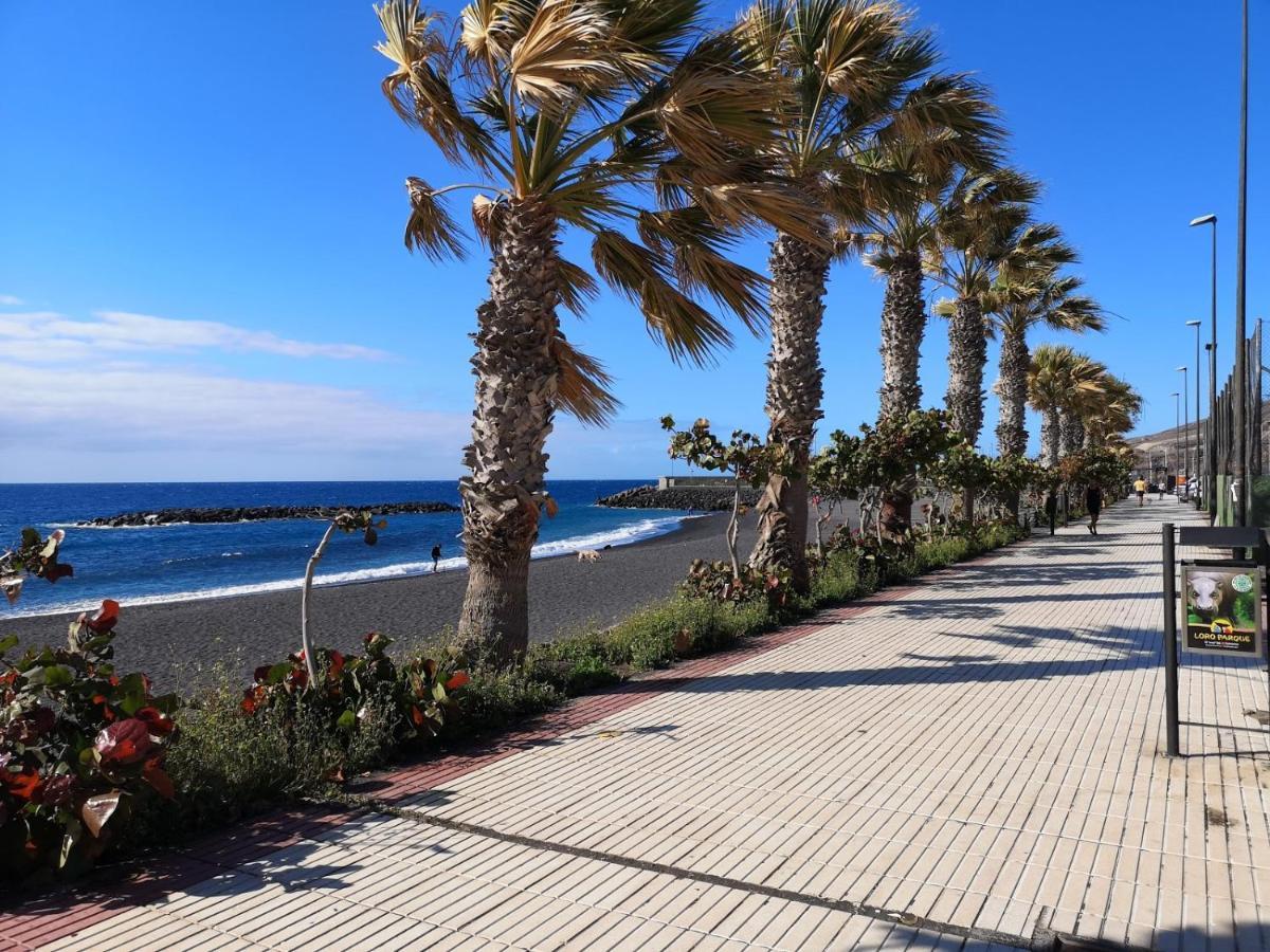 Apartament Brisas Del Atlantico Puertito de Guimar Zewnętrze zdjęcie